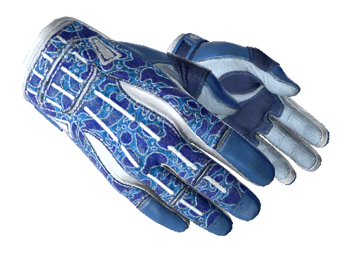 ★ Sport Gloves | Amphibious